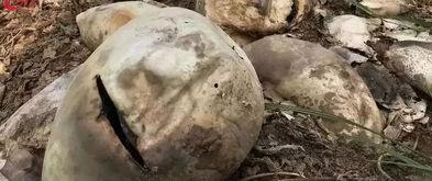 方山吃瓜最新事件爆料 第2张 方山吃瓜最新事件爆料 第2张