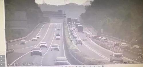 河源爆料新闻最新情况,揭秘神秘事件背后的真相